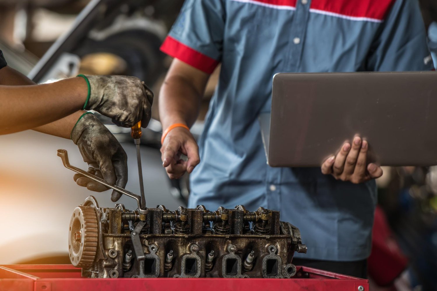 imgpsh_fullsize_anim (1)